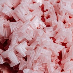 Meet your Posher, Bridget